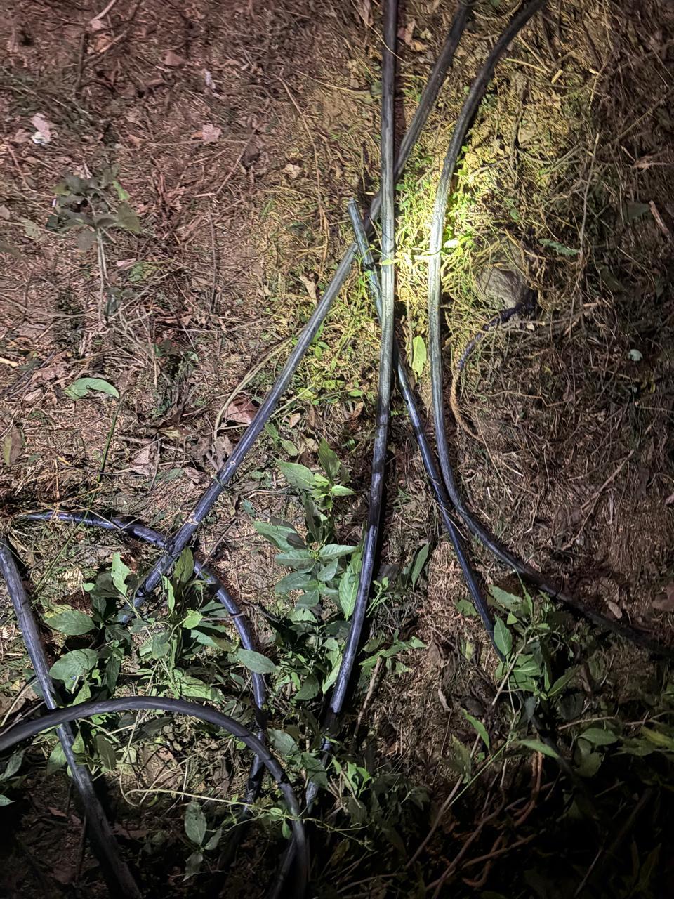 दिल्ली: एयरपोर्ट एक्सप्रेस लाइन पर सिग्नलिंग केबल चोरी से ट्रेनें प्रभावित, यशोभूमि से न्यू दिल्ली तक सीमित गति से चल रही सेवाएं